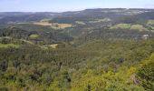 Trail Walking Mancenans-Lizerne - Mancenans Lizerne, château hermitage - Photo 19