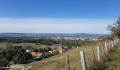 Trail Walking Orbeil - Orbeil - Photo 4