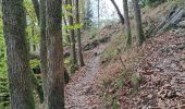 Trail Walking Bouillon - Boucle Corbion - Poupehan - Rochehaut - Crêtes de Frahan - Corbion - Photo 4