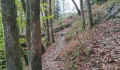 Excursión Senderismo Bouillon - Boucle Corbion - Poupehan - Rochehaut - Crêtes de Frahan - Corbion - Photo 4