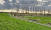 Trail Walking Dendermonde - Dendermonde Moerzeke 19,5 km - Photo 1