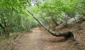 Tour Wandern Ceyssat - Tour Puy Dôme  - Photo 2