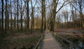 Trail On foot Bronckhorst - Lokaal Vorden - Photo 2