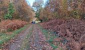 Trail Walking Folles - Folles - Le chemin des blaireaux - Photo 3