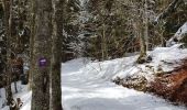 Randonnée Raquettes à neige Autrans-Méaudre en Vercors - Pas de Nave  - Photo 13