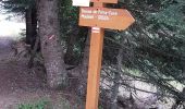 Trail Walking Lantosque - grange de Suorcas et Mairis - Photo 4