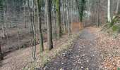 Tour Wandern Welkenrath - Welkenraedt - Eupen gare à gare 24 km - Photo 20