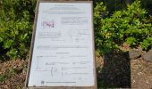 Percorso Marcia Roquebrune-sur-Argens - Dolmen- ruine de Roqueryrol- Bois de la Gaillarde - Photo 6