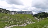 Excursión Senderismo Châtillon-en-Diois - Vallon de Combau - Pas de l'Aiguille - Photo 3