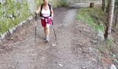 Trail Walking Cauterets - plateau du lisey 2019 - Photo 4