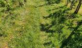 Trail Walking Brunehaut - les vergers de Rongy - Photo 9