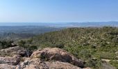 Trail Walking Fréjus - Depuis la Louve en boucle - Photo 7