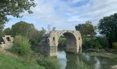 Trail Walking Villetelle - Sensei pascal  - Photo 4