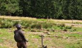 Trail Walking Le Valtin - VOSGES 2023 - Col de la Schlucht - Les Rochers de Hirschteine - Photo 6