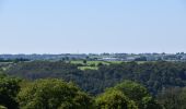 Trail Walking Limbourg - Limbourg BIO 7,5 km le 29-07-2024 - Photo 20