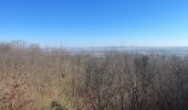 Trail  Verzy - Le phare de verzenay  - Photo 6