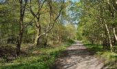 Tocht Te voet Fockbek - Rundweg Fockbeker Moor - Photo 8