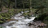 Trail On foot Unknown - Einmündung Littersbach - Bernickel - Photo 4