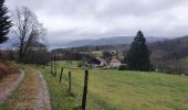 Trail Walking Saint-Étienne-lès-Remiremont - Le sentier des Pourdingues - Photo 15