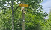 Trail Walking Fleurey-sur-Ouche - Fleurey/lantenay - Photo 4