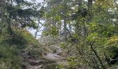 Tour Wandern Gerdsee - Gérardmer cascade saut bourrique tour merrelle 15kms 488m  - Photo 2