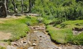 Tocht Stappen Bastelica - I Pozzi en partant du val d'Eze  - Photo 11