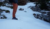 Trail Walking Rencurel - Pas de Pertuson et falaise de Méaudre - Photo 5