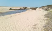 Trail Walking Moliets-et-Maâ - Courant d'Huchet - Photo 3