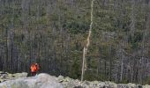 Tour Zu Fuß Neuschönau - Luchs - Photo 10