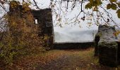 Excursión Senderismo Waldkirch - Waldkirch - grande boucle des ruines du Schwanzenberg - Photo 19