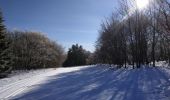 Trail Cross-country skiing Xonrupt-Longemer - sortie ski de fond les 3 fourgs 23022019 - Photo 9