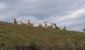 Trail Walking Le Gua - Le Balcon des Petits Amieux - Photo 3