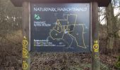 Tour Zu Fuß Unbekannt - Habichtswaldsteig - Extratour Habichtswald - Photo 9