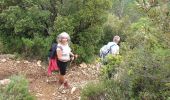 Trail Walking Brignoles - Le Candelon - Photo 3
