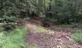 Tour Wandern La Roche-en-Ardenne - Samrée août 23 - Photo 3