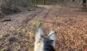 Percorso Equitazione Habay - Les 4 fils Aymon en minimisant la route et en sécurisant le départ pour les chevaux - Photo 1