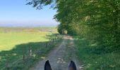 Trail Horseback riding Neufchâteau - Cousteumont Ospau - Photo 6