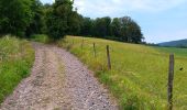 Trail Walking Aywaille - dieupart . henoumont . kin . aywaille . dieupart - Photo 6