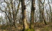 Tour Wandern Vielsalm - Le bec du corbeau - Photo 2