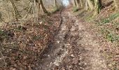 Trail Walking Saint-Pierre-de-Cormeilles - St Pierre de Cormeille - Photo 15