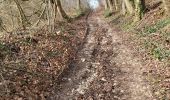 Tocht Stappen Saint-Pierre-de-Cormeilles - St Pierre de Cormeille - Photo 15