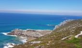 Trail Walking Crozon - FINISTÈRE-  CAP de la CHÈVRE  - Photo 18