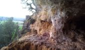 Excursión Senderismo Trémolat - Grotte - Photo 12