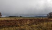 Tocht Noords wandelen Prades-d'Aubrac - SityTrail - Sentier thématique de Brameloup - Photo 17