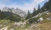 Trail Walking Talloires-Montmin - BORNES: UN PEU DE DENIVELE AU DEPART DE PLANFAIT - Photo 2