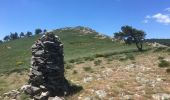 Randonnée Marche Rosis - Le sommet du Plo des Brus dans l'Espinouse - Photo 7
