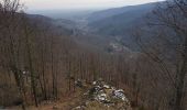 Tour Wandern Andlau - Andlau - château d'Andlau - château du Spesbourg - Photo 13