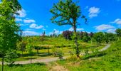 Randonnée Marche Beauraing - Balade dans le Parc du Castel à Beauraing - Photo 19