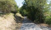 Trail Walking Plan-de-Baix - Canyon des Gueulards - Plateau du Vellan  - Photo 8