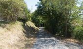 Percorso Marcia Plan-de-Baix - Canyon des Gueulards - Plateau du Vellan  - Photo 8